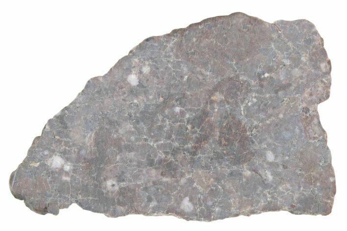 Lunar Meteorite ( g) Slice - Laayoune #381668